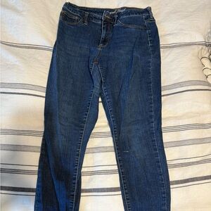 Universal Thread Blue Skinny Jeans Classic Style